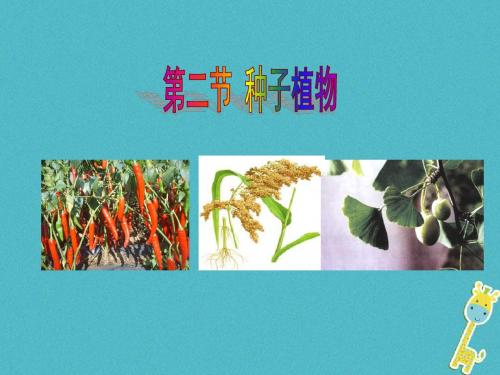 2018年七年级生物上册3.1.2种子植物课件新版新人教版20180815538
