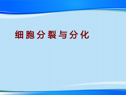《细胞的分裂与分化》PPT课件【推荐下载课件】