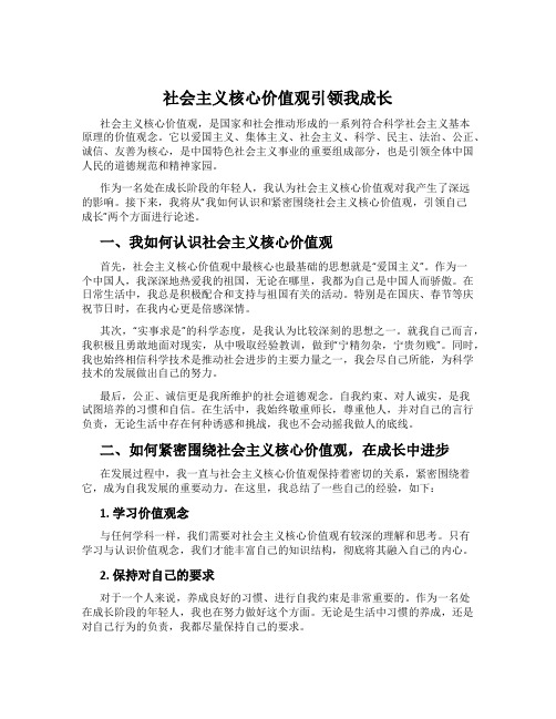 社会主义核心价值观引领我成长