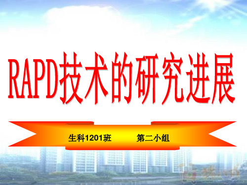 RAPD分子标记技术