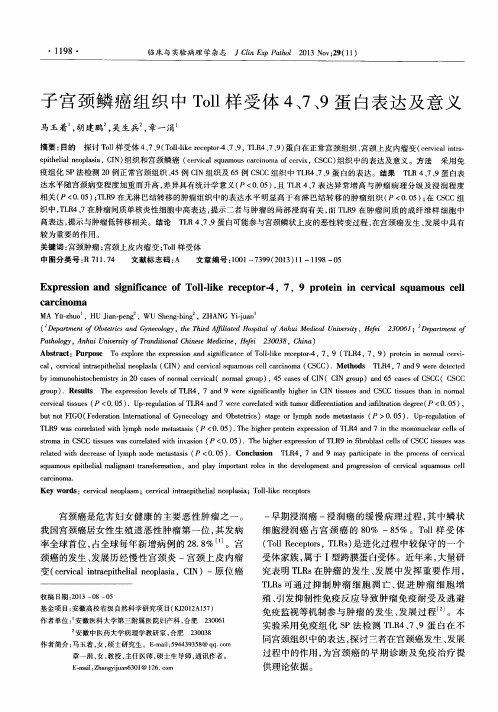 子宫颈鳞癌组织中Toll样受体4、7、9蛋白表达及意义