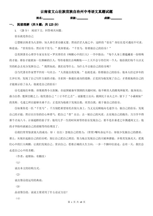 云南省文山壮族苗族自治州中考语文真题试题