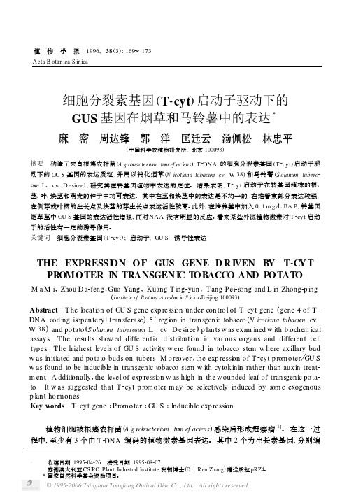 细胞分裂素基因启动子驱动下的GUS基因在烟草和马铃薯中的表达