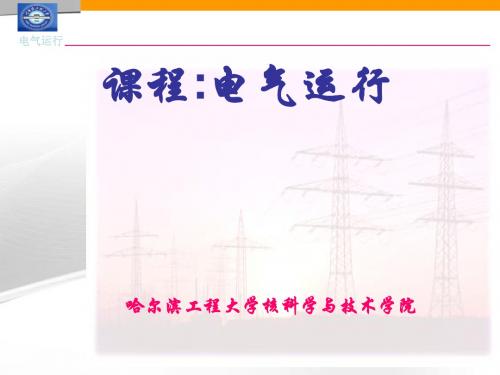 核电厂电气系统-直流系统及不停电电源、事故保安电源