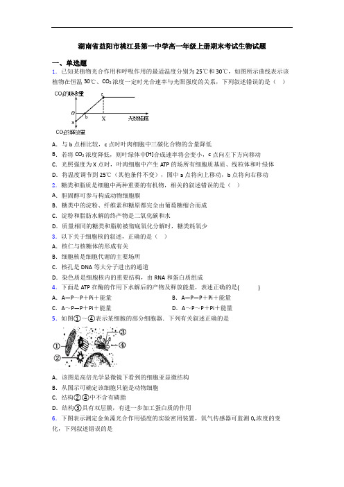 湖南省益阳市桃江县第一中学高一年级上册期末考试生物试题