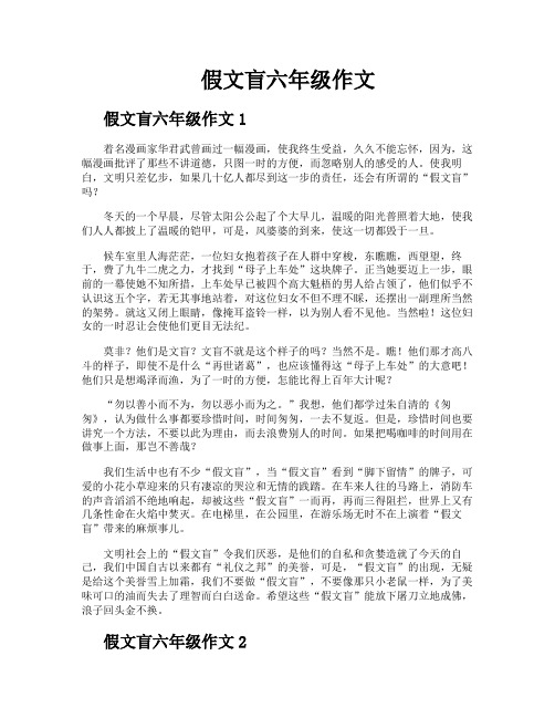 假文盲六年级作文