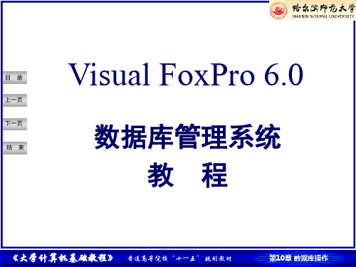 第10章VisualFoxPro60的数据库操作精品PPT课件