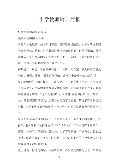 小学教师培训简报