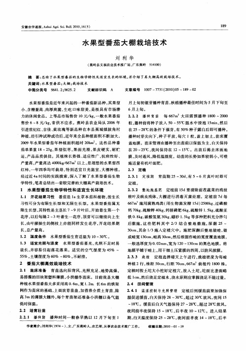 水果型番茄大棚栽培技术