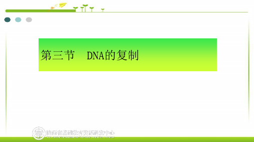 【高中生物】DNA的复制课件+高一下学期生物人教版必修2