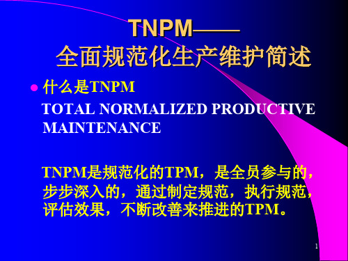 TNPN全面规范化生产维护98页(ppt文档)