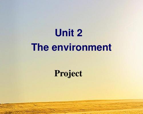 牛津译林版高中英语必修五Unit2 Project课件