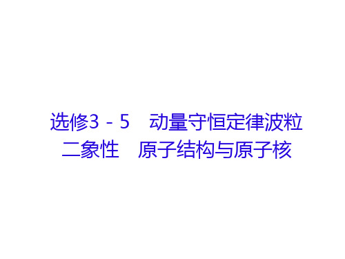 高三物理一轮复习 动量守恒定律波粒二象性 原子结构与原子核 第1讲 动量守恒定律课件(选修35)