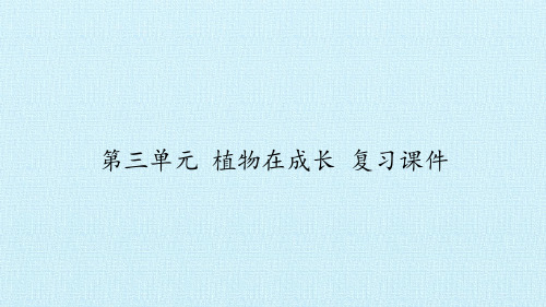 大象版小学科学四年级下册科学课件-第三单元植物在成长复习课件(共25张PPT)