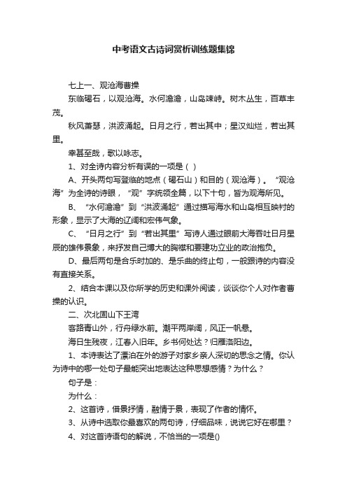 中考语文古诗词赏析训练题集锦