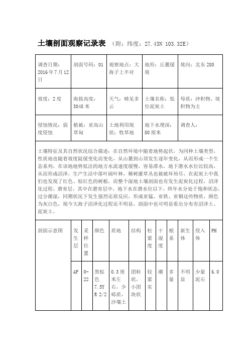 土壤剖面观察记录表