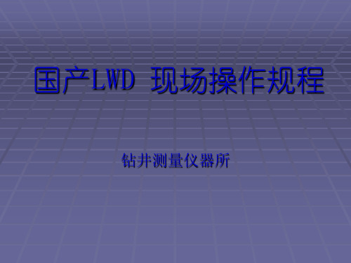 LWD 现场操作规程