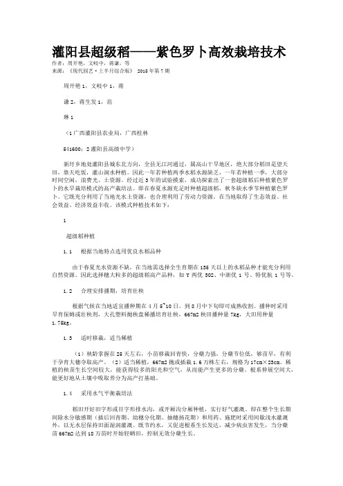 灌阳县超级稻——紫色罗卜高效栽培技术