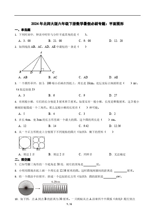 2024年北师大版六年级下册数学暑假必刷专题:平面图形(含答案)