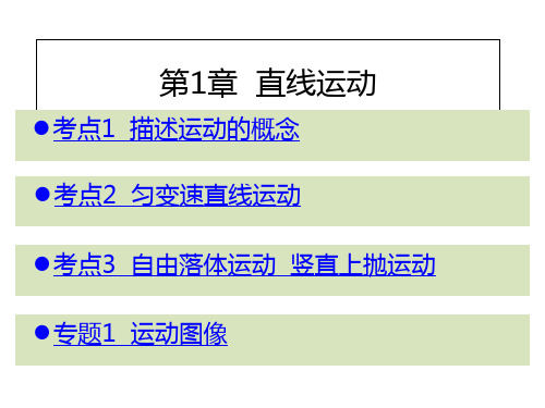 2019高考物理一轮复习课件  第1章  直线运动精选课件