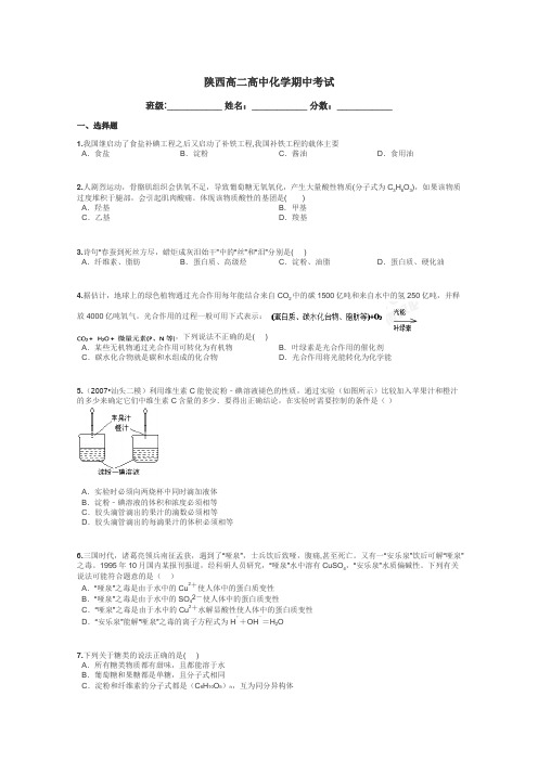 陕西高二高中化学期中考试带答案解析
