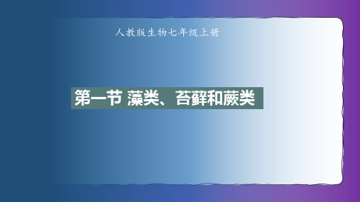 藻类、苔藓和蕨类ppt课件