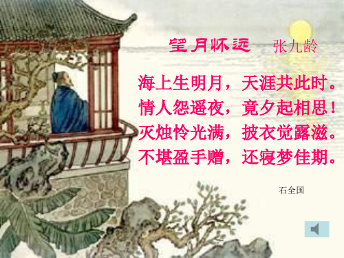 九年级语文望月怀远3(整理2019年11月)