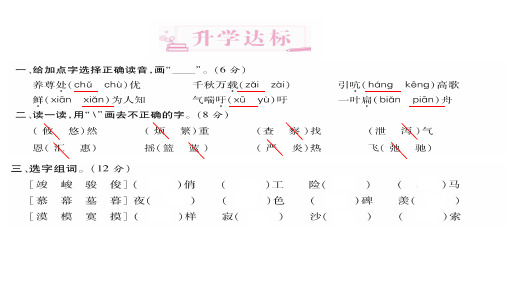 六年级下册语文习题课件 第二章汉字 全国通用 2