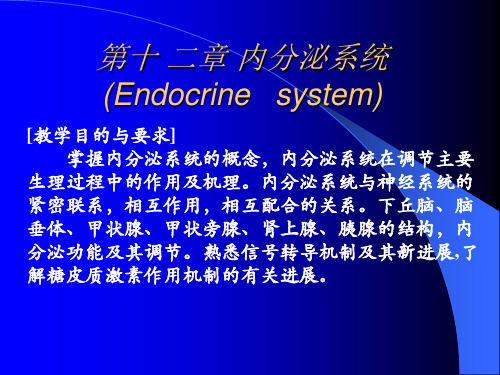 第十二章内分泌系统ppt课件