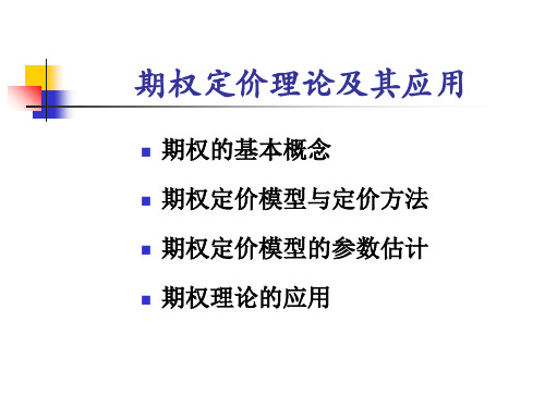 期权定价理论PPT课件