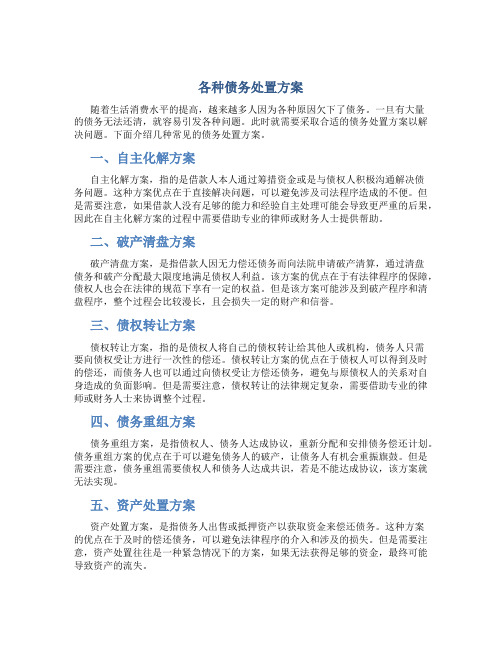 各种债务处置方案