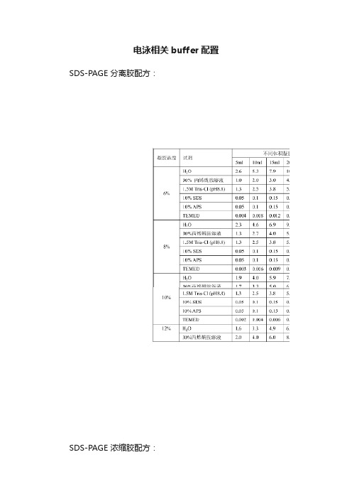 电泳相关buffer配置