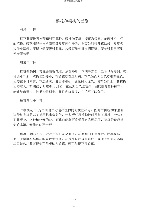 樱花和樱桃的区别
