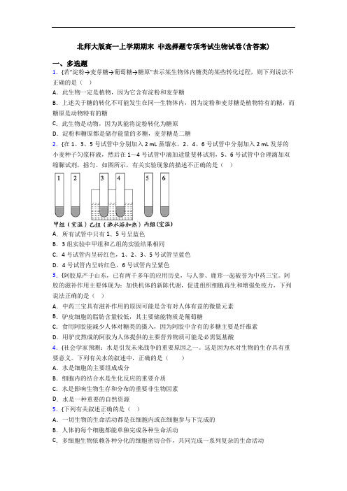 北师大版高一上学期期末 非选择题专项考试生物试卷(含答案)