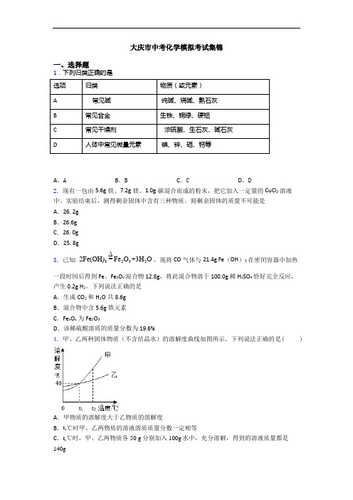 大庆市中考化学模拟考试集锦