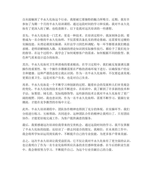 学习半永久培训感想