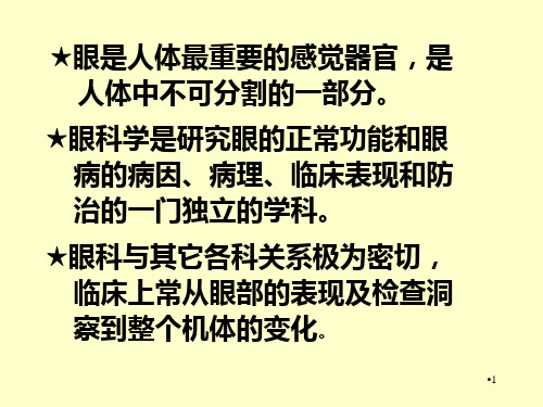 眼部解剖结构演示幻灯片