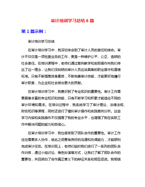 审计培训学习总结6篇