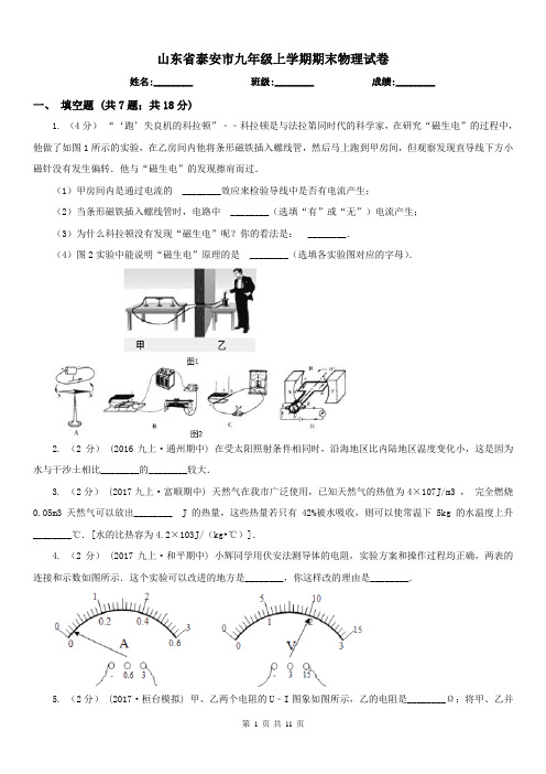 山东省泰安市九年级上学期期末物理试卷