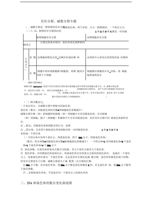 有丝分裂与减数分裂知识点整理高考专题总结完美版