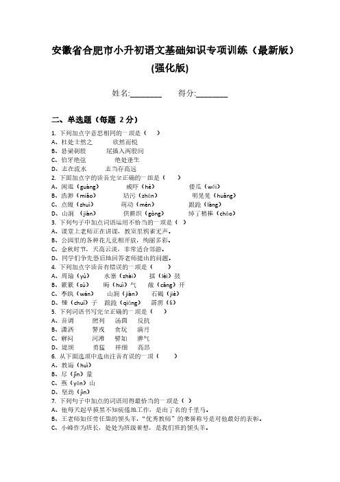 安徽省合肥市小升初语文基础知识专项训练(最新版)(强化版)