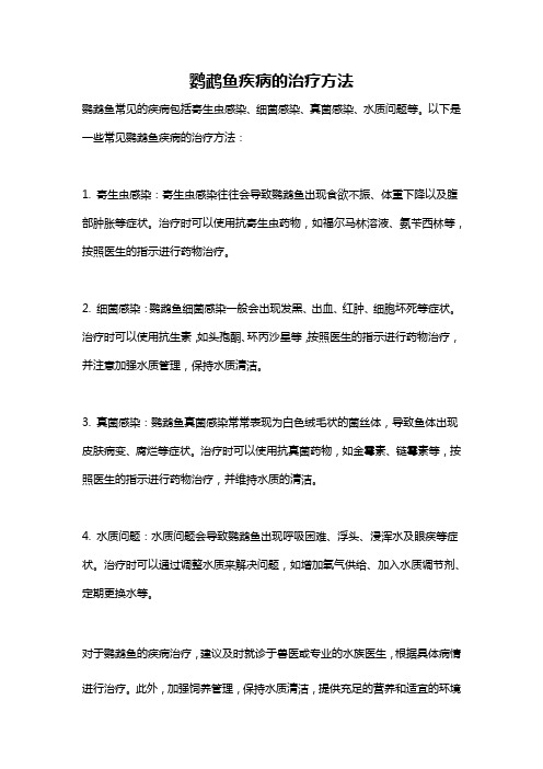 鹦鹉鱼疾病的治疗方法