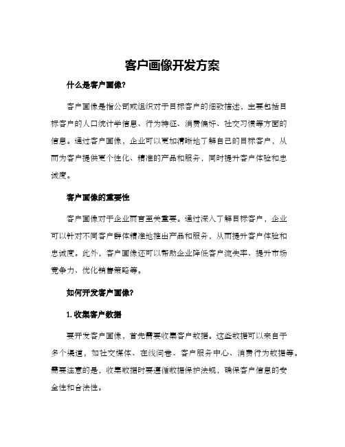 客户画像开发方案