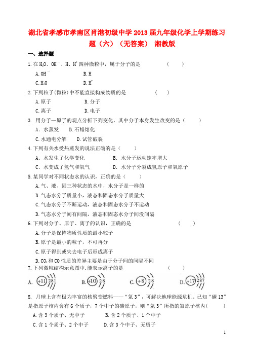 湖北省孝感市孝南区肖港初级中学九年级化学上学期练习题(六)(无答案) 湘教版