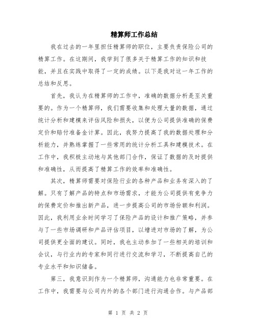 精算师工作总结