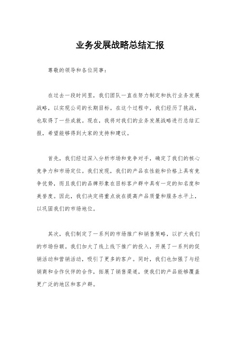 业务发展战略总结汇报