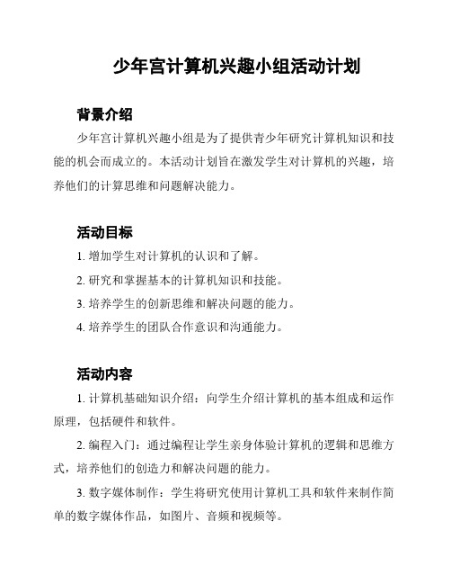 少年宫计算机兴趣小组活动计划