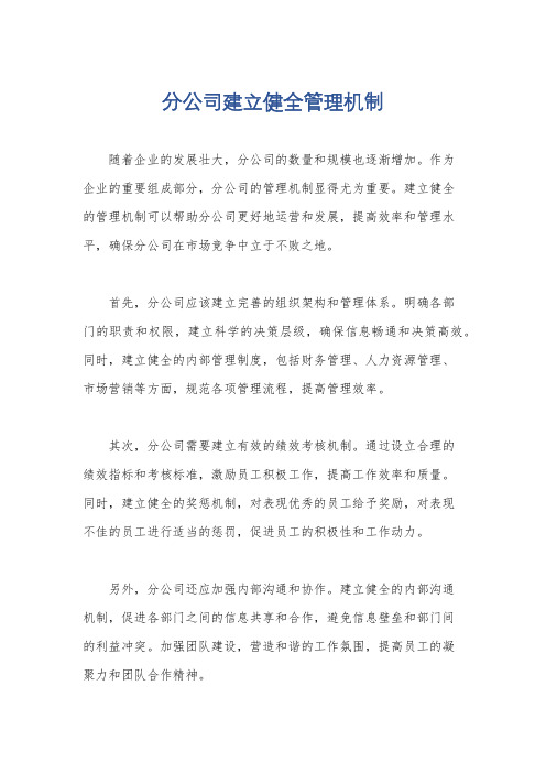 分公司建立健全管理机制