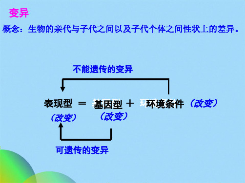 生物一轮复习生物的变异类型(共39张PPT)