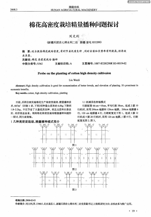 棉花高密度栽培精量播种问题探讨